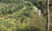 Trail Walking Bouillon - Germauchamp - Photo 2