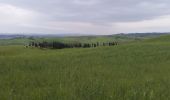 Tour Wandern Castelfiorentino - Coiano /  Pancole - Photo 11