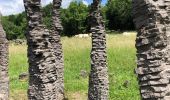 Tour Wandern Chapdes-Beaufort - Le Mazal ,le chemin fais’art, la vierge de Beaufort  - Photo 20