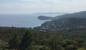 Trail Mountain bike Gassin - Saint-Tropez - Rayol Canadel sur mer  - Photo 11