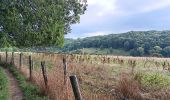 Trail Walking Eijsden-Margraten - glandouille ? non, vadrouille ! - Photo 9