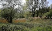 Tocht Stappen Blegny - Promenade du vendredi - Photo 9