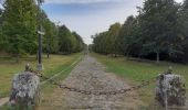 Tour Wandern Fontainebleau - Perspective Maintenon  - Photo 1