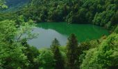 Tocht Stappen Rimbach-près-Masevaux - Ermensbach et les trois lacs - Photo 4