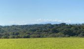 Tour Wandern Susmiou - GR 65 Navarrenx > Lichos - Photo 13