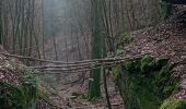 Excursión Senderismo Baerenthal - schmalenthal, bannstein, hammerschless - Photo 6