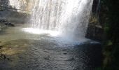 Tocht Stappen Menétrux-en-Joux - Cascades du Hérisson 13.7.24 - Photo 1