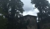 Excursión A pie Cordignano - Sentiero della Madonna dei Scalin - Photo 3