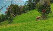 Randonnée Marche Chichilianne - Tête Chevalière en boucle par Pas de l Essaure et de l Aiguille - Photo 8