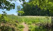 Trail Walking Enghien - Enghien 16 km - Photo 3