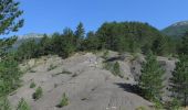 Tocht Lopen Aspres-sur-Buëch - Trail 06 - La Longeagne - Photo 5