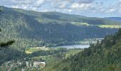 Tocht Stappen Xonrupt-Longemer - deuxième lac de Gerardmer - Photo 1