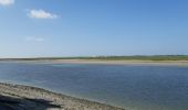 Randonnée Marche Saint-Valery-sur-Somme - Baie de Somme - Photo 3