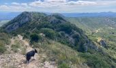 Excursión Senderismo Saint-Rémy-de-Provence - Le plateau de Caume - Photo 3