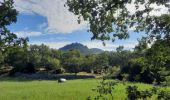 Trail Walking Saint-Laurent-sous-Coiron - Saint-Laurent sous-Coiron sentier Thématique 10km. - Photo 9