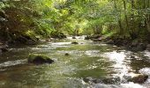 Randonnée Marche Chambon-sur-Lac - Chambon_Couze_Surains - Photo 1