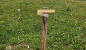Percorso Marcia Val-Cenis - boucle du lac Blanc - Photo 9