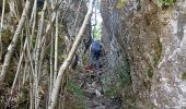 Trail Walking Peyreleau - belle rando dans les Cevennes  - Photo 13