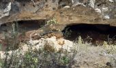 Excursión Senderismo Villecroze - Villecroze de Chapelles en Grottes - Photo 10