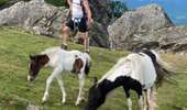 Tour Wandern Itxassou - Mondarrain Gorospil en boucle retour par GR10 - Photo 12