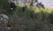 Trail Walking Sanary-sur-Mer - Gros cerveau  - Photo 8