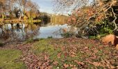 Tocht Stappen Pontenx-les-Forges - Pontenx-les-Forges - Photo 1