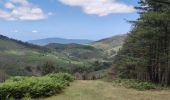 Trail Mountain bike Urrugne - col d'Ibardin - Photo 2