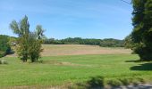 Tocht Stappen Saint-Vit - saint vit - velesmes-essarts /  autour du bois des saussottes - Photo 12