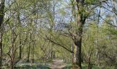 Tocht Stappen Mesnières-en-Bray - mesnieres croixdalle - Photo 4