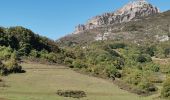 Trail Walking Bugarach - Tour Bugarach  - Photo 3