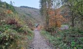 Trail Walking Waimes - RS 2024_10 Botrange  - Photo 16
