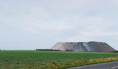 Tour Zu Fuß Landesbergen - 2 Naturpark Rundweg - Photo 4