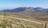 Tocht Stappen Omblèze - Plateau d'Ambel (le tour) - Photo 11