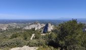 Tocht Stappen Saint-Rémy-de-Provence - Plateau de Caume - Photo 14
