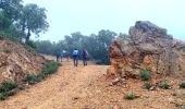 Tour Wandern Pierrefeu-du-Var - SityTrail - Pierrefeu -temple- Bourjas par Ponseur - Photo 13