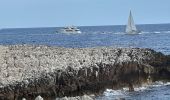 Trail Walking Saint-Jean-Cap-Ferrat - mon petit tour st jean cap ferrat - Photo 6