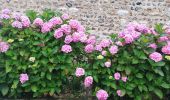 Randonnée Marche Sassetot-le-Mauconduit - sasetot le Mauconduit-Château de Sissi - Photo 4