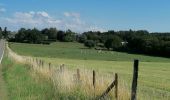 Tocht Wegfiets Habay - L'Attertoise - Photo 1