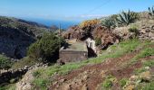 Randonnée Trail Buenavista del Norte - Punta de Teno- Teno Alto - Casablanca - Photo 10