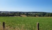 Randonnée Marche Meix-devant-Virton - Gerouville 060723 - Photo 2