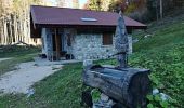 Trail On foot Venzone - IT-704 - Photo 1