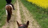 Trail Horseback riding Hériménil - Élodie 2 tivio - Photo 13