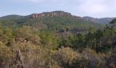 Trail Walking Roquebrune-sur-Argens - la lieutenante par la Bouvrie - Photo 3