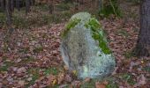 Tour Zu Fuß Hilpoltstein - Eibachgrund - Photo 1