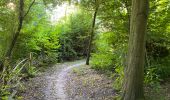 Tocht Stappen Lelystad - Groene Velden 4 km - Photo 3