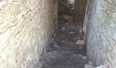 Trail Walking Charnay - Charnay .. lcheikh - Photo 4
