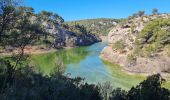 Excursión Senderismo Le Tholonet - bagage de zola - Photo 11