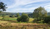 Tour Wandern Vresse-sur-Semois - rando laforêt 6/08/2020 - Photo 17