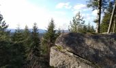 Tocht Mountainbike Saint-Dié-des-Vosges - vtt la voivre La Bure 29-03-19 - Photo 5