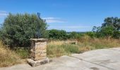 Trail Walking Gualta - Gualta 100725 - Photo 16